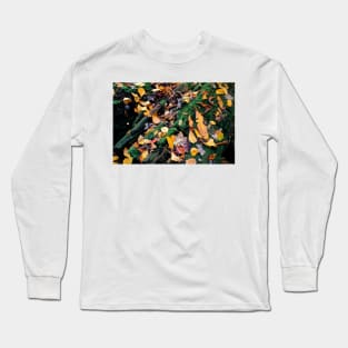 Autumn Renewal Long Sleeve T-Shirt